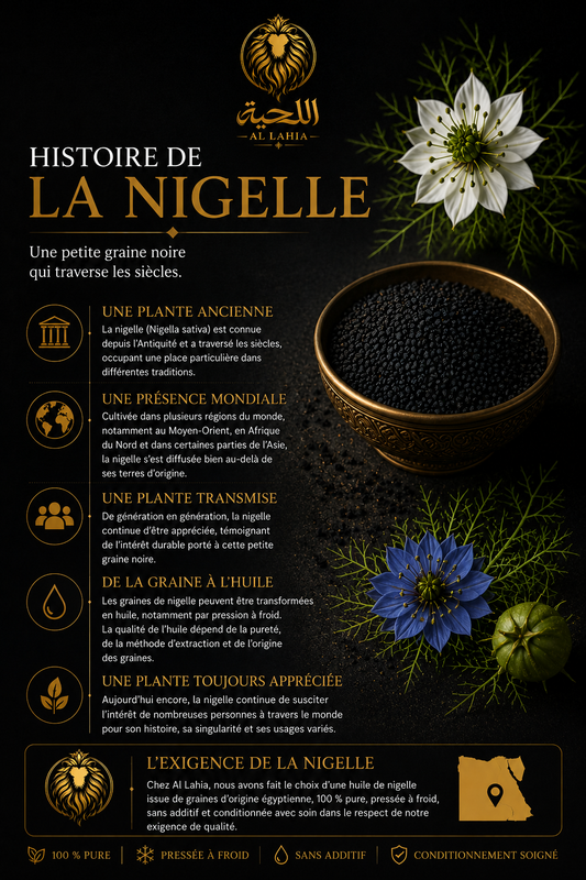 Infographie Al Lahia sur l’histoire de la nigelle (Nigella sativa), une petite graine noire appréciée depuis des siècles dans différentes régions du monde.