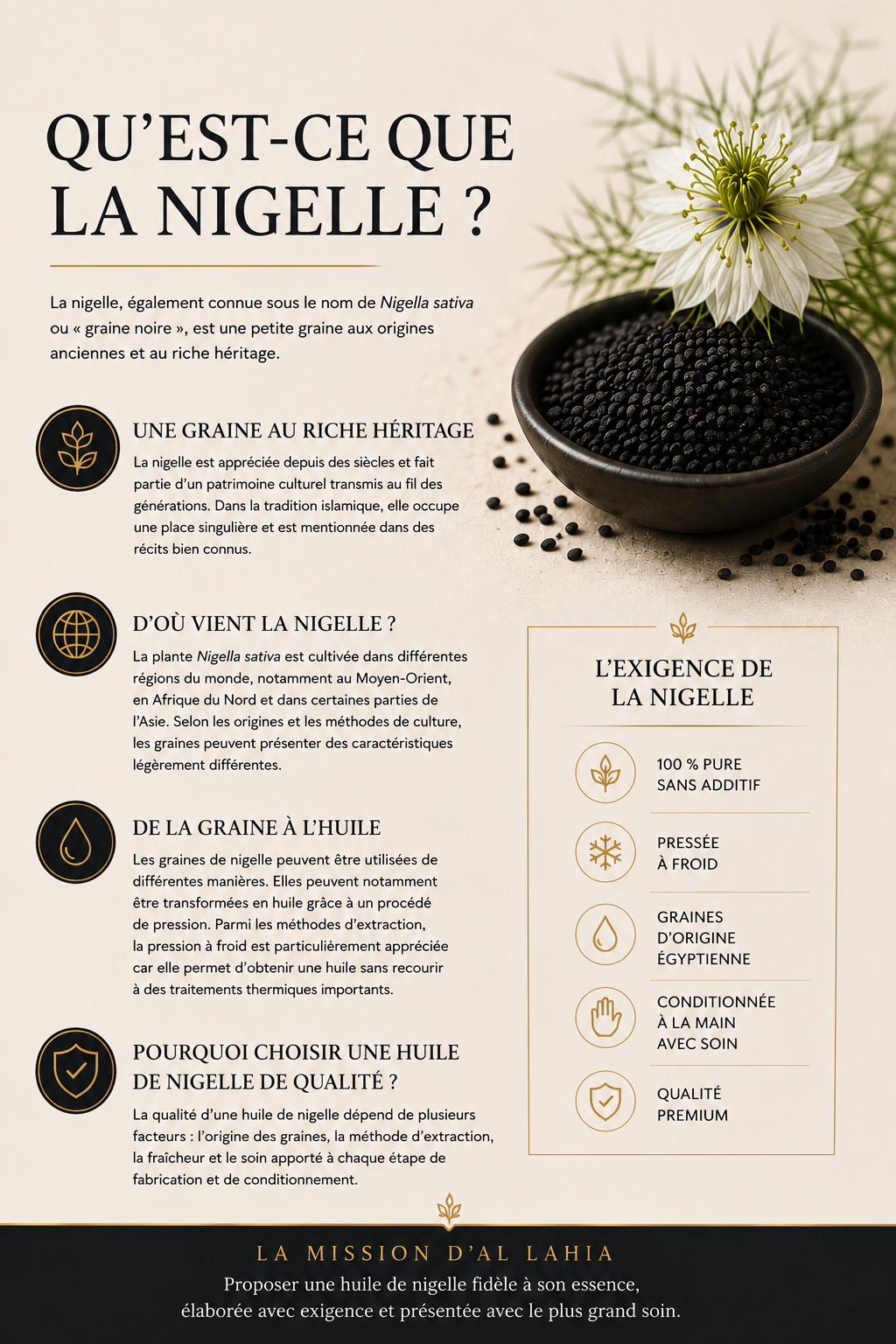 Qu'est-ce que la nigelle ? Infographie Al Lahia