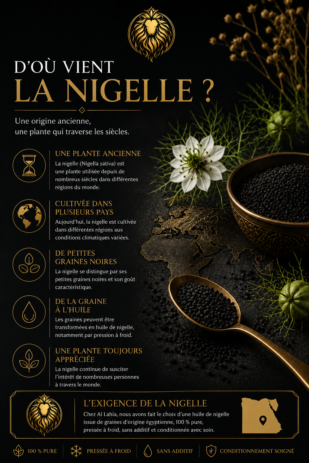 Infographie Al Lahia expliquant l'origine de la nigelle (Nigella sativa), sa culture dans différentes régions du monde et la transformation des graines en huile de nigelle.