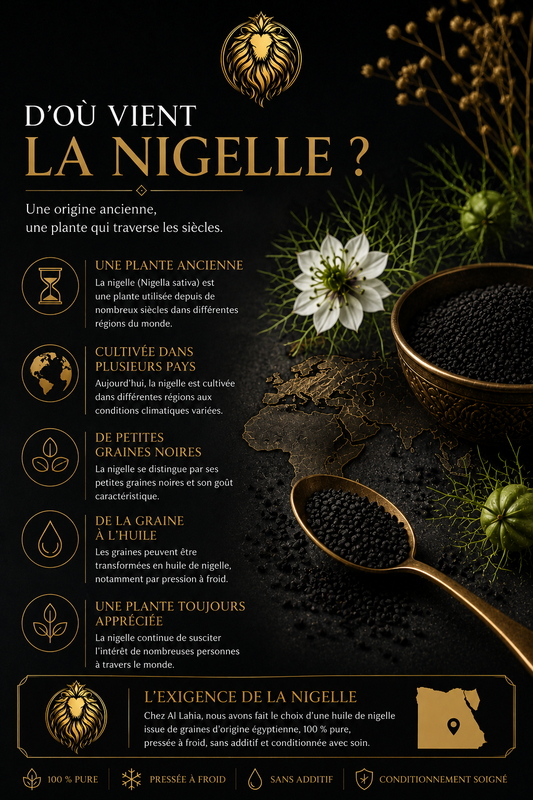 Infographie Al Lahia expliquant l'origine de la nigelle (Nigella sativa), sa culture dans différentes régions du monde et la transformation des graines en huile de nigelle.