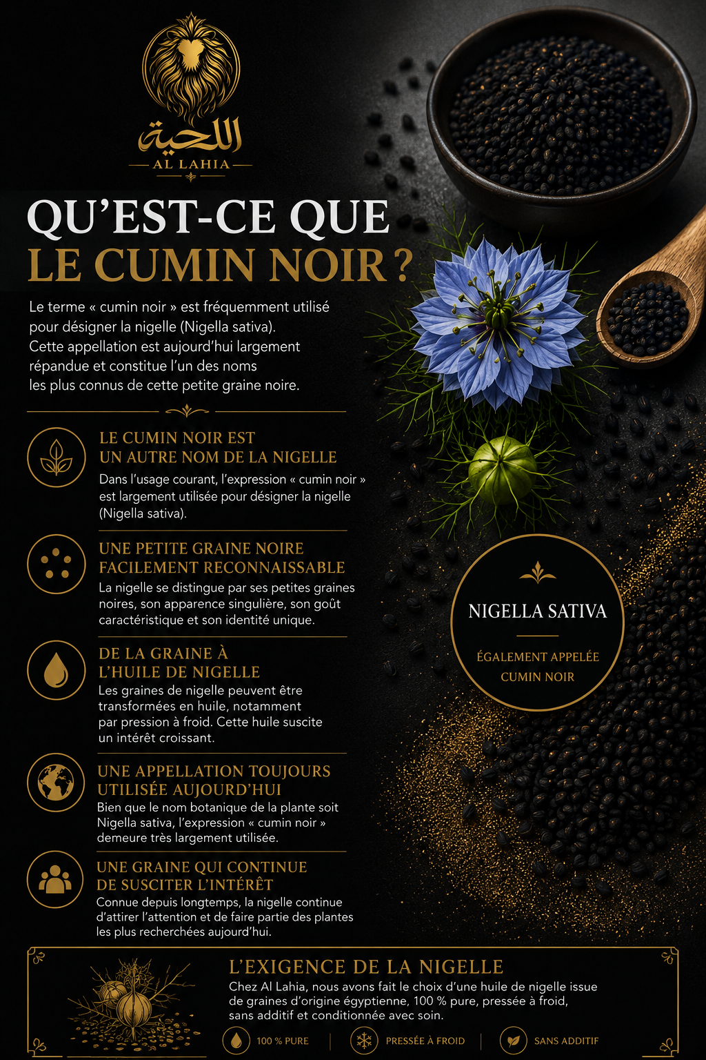 Infographie Al Lahia expliquant ce qu’est le cumin noir, également appelé nigelle (Nigella sativa), et présentant les caractéristiques de cette petite graine noire.